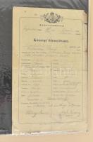 Két albumnyi vegyes okmány gyűjtemény az 1700-as évektől igényes oklevél berakókban