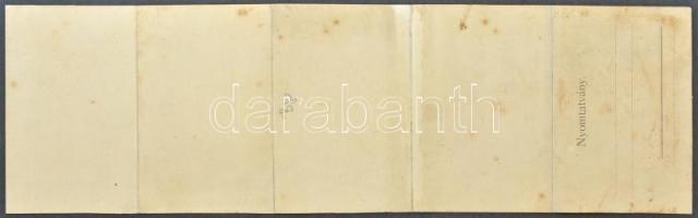 Budapest. Dunai panoráma az épülő felállványozott Erzsébet híddal. 5-részes panorámalap / panoramaca...