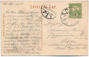 1908 Máramarossziget, Sighetu Marmatiei; Heti vásár olajat áruló viski magyarral. Kaufmann Á. és fia...