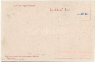 1913 Nagykároly, Carei; Kölcsey szobor, Városi színház, Gróf Károlyi kastély, Széchenyi utca, Tisztv...