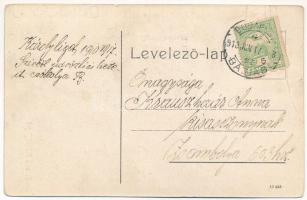 1910 Károlyliget, Charleville (Bánátnagyfalu, Banatsko Veliko Selo - 1920-ig Zsombolyai járáshoz tar...