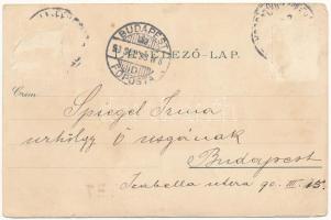 1898 (Vorläufer) Máriaradna, Mária-Radna, Radna (Lippa, Lipova); Kegytemplom, belső, búcsújáróhely /...