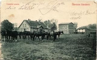 1911 Dárda, Darda; uradalmi puszta, ménes. Arady Lajos kiadása / manor, stud farm (EM)