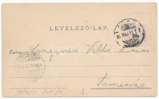 1899 (Vorläufer) Arad, Vértanú szobor, Színház épület, lóvasút, Városháza. Lengyel Lipót kiadása / m...