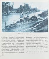 Csonkaréti Károly: Hadihajók a Dunán. Bp., 1980, Zrínyi. Kiadói egészvászon-kötésben, kiadói szakadt...