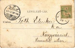 1905 Mézged, Meziad; Pestera Meziad / Meziádi (Mézgedi) cseppkőbarlang, a díszterem függönyzetéből /...