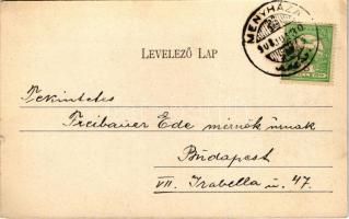 1908 Dézna, Dezna; halastó, csónakázók / lake, rowing boat (kis szakadás / small tear)