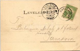 1906 Marilla, Marillavölgy, Marila; Marillafürdő. Hollschütz F. kiadása / spa, bath (EK)