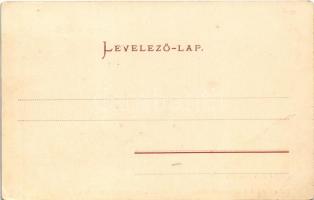 Nagydisznód, Heltau, Cisnadie; látkép. Verl. d. Buchh. G. A. Seraphin. Chromophot v. Jos. Drotleff /...