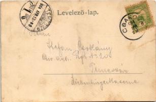 1904 Csák, Csákova, Ciacova; Fő tér, piac, Mesterovits és Joanovits, Csarnitsch üzlete, szálloda / m...