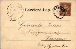 1901 Boksánbánya, Németbogsán, Deutsch-Bogsan, Bocsa Montana; Templom. Rosner Adolf kiadása / church...