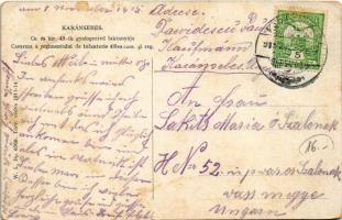 1915 Karánsebes, Caransebes; Cs. és kir. 43. gyalogezred laktanyája, K.u.K. katonák. W.L. Bp. 6768. ...