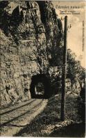 1909 Anina, Stájerlakanina, Stájerlak, Steierdorf; Vasúti alagút. Hollschütz kiadása / Eisenbahn Tunnel / railway tunnel