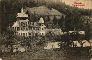 1915 Topánfalva, Topersdorf, Campeni; Schlessel és Walter-féle kastély. Csiky Testvérek kiadása / castle (EK)