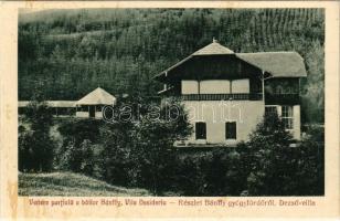 Maroshévíz, Oláhtoplica, Toplita, Toplica; Baia Bánffy, Vila Desideriu / Bánffy-gyógyfürdő, Dezső villa. Walter Ede kiadása / spa, bath, villa (fl)