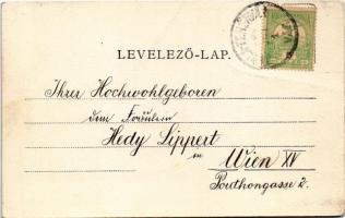1906 Gyulafehérvár, Karlsburg, Alba Iulia; Hunyadi tér, Erzsébet szálloda. Schäser Ferenc fénynyomda...