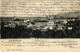 1905 Gyulafehérvár, Karlsburg, Alba Iulia; látkép. Petri F. Vilmos kiadása / general view (EM)