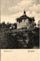 Menyháza, Monyásza, Moneasa; Andrényi villa / spa, villa (EK)