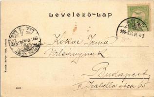 1906 Arad, Andrássy tér, Szentháromság szobor, 1848-1849 Múzeum, Nagy Lajos szállodája a Fehér keres...