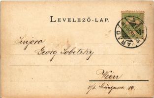 1905 Arad, Andrássy tér / square (EK)