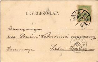 1903 Arad, Andrássy tér, Színház, Múzeum, Michl színházi sörcsarnoka, Nagy Lajos szállodája a Fehér ...