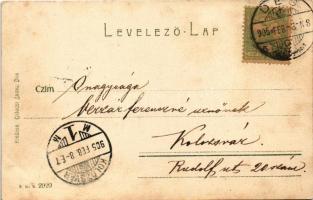 1905 Dés, Dej; M. kir. állami főgimnázium. Gálócsi Samu kiadása / grammar school