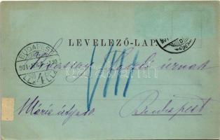 1901 Dés, Dej; látkép. Gálócsi Samu kiadása / general view (r)