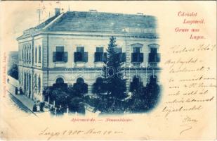 1900 Lugos, Lugoj; Apácazárda. Auspitz Adolf kiadása / nunnery (fa)