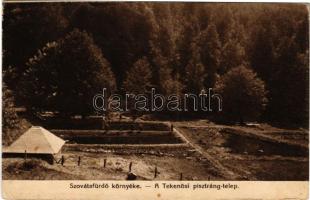 Szováta-fürdő, Baile Sovata; Tekenősi pisztrángtelep. Borbély Gyula kiadása 1917. Dr. Radványi A. tanár felvétele / trout farm (EK)