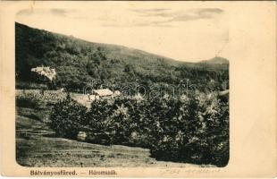 1910 Bálványosfürdő, Baile Balvanyos (Torja, Turia); látkép / spa, general view (EK)