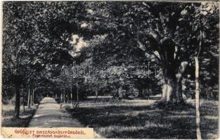 1918 Bikszád-fürdő, Baile Bixad; Park részlet, sugárút. Divald Károly Fia kiadása / park, road (EK)