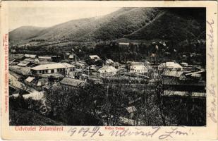 1907 Zalatna, Zlatna; M. kir. kohótelep. Nagy Árpád kiadása / iron factory, ironworks, smelter