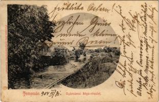 1904 Temesvár, Timisoara; Gyárvárosi Béga részlet, fürdőzők. Polatsek kiadása / Bega riverside, bathers (fl)