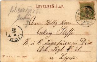 1904 Temesvár, Timisoara; Ferenc József színház / theatre (EK)