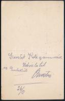 cca 1917 A cs. és kir. 105. gyalogezred (K.u.K. Infanterie-Regiment 105.) katonája libákat etet, táb...