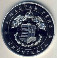 DN "A magyar pénz krónikája-A három részre szakadt ország" Ag emlékérem, 20g T:PP Csak 2004db!