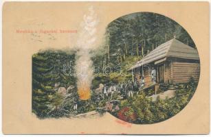 1911 Fogarasi-havasok (Fogarasi Kárpátok), Fogarascher Karpathen, Muntii Fagarasului; menház. Thierfeld Dávid kiadása / tourist house, chalet (EB)