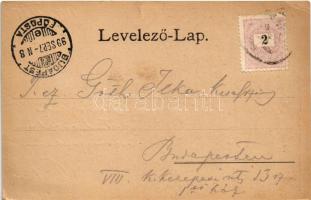 1899 (Vorläufer) Vajdahunyad, Hunedoara; Vajdahunyad vára / castle (szakadás / tear)