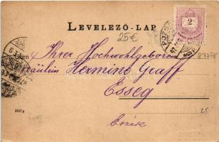 1897 (Vorläufer!) Pozsony, Pressburg, Bratislava; vár, gőzhajó / castle, steamship (EB)