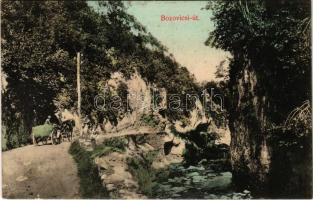 1913 Anina, Stájerlakanina, Stájerlak, Steierdorf; Bozovicsi út / Bozovicser Strasse / Bozovici road