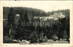 1932 Szebenjuharos, Hohe Rinne, Paltinis; gyógyház, nyaraló / Sanatorul Hohe Rinne Kurhaus / sanatorium, villa (EK)