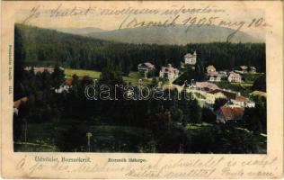 1905 Borszék, Borsec; látkép. Soós kiadása / general view, spa