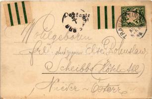 1899 (Vorläufer) Traunstein, general view (EK)