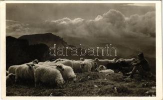 Nagyhagymás, Nagy-Hagymás, Muntii Hasmas, Hasmasul Mare; Csíki havasokból csángó pásztor. Andory Aladics Zoltán mérnök felvétele / Csango shepherd from the mountains (EK)