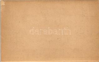 Brassó, Kronstadt, Brasov; Schlossbergzeile / Fellegvársor / villas (non PC)