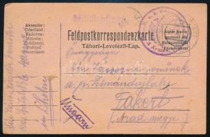 1915 Tábori posta levelezőlap K.u.k. Reservespital der 4. Armee + Militärpflege + EP CHOLM