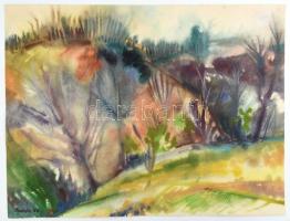 Borbély jelzéssel: Erdei táj. Akvarell, papír. 43x56 cm