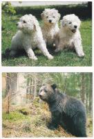 30 db MODERN állatos képeslap / 30 modern animal motive postcards