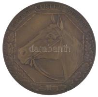 Németország DN "Sport Kartel Berlin" kétoldalas bronz emlékérem (55mm) T:1- Germany ND "Sport Kartel Berlin" two-sided bronze commemorative medallion (55mm) C.AU
