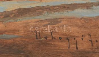 Urhegyi Alajos (1871-?): Balatonparti vitorlás. Olaj, karton, jelzett. Dekoratív, kissé sérült faker...